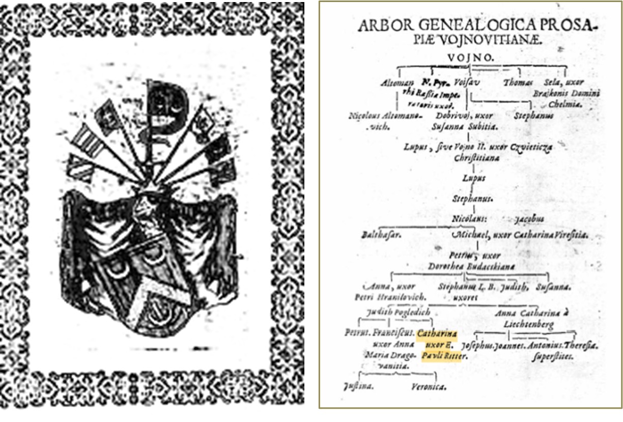 Grb i obiteljsko stablo obitelji Vojnović iz koje je bila i Vitezovićeva supruga Katarina (žuto označeno lijevo dolje). Preuzeto iz članka Z. Blažević u "Senjskom zborniku" br. 26/1,1999.)